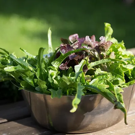 Dorfhotel Mayer Hotel 3*