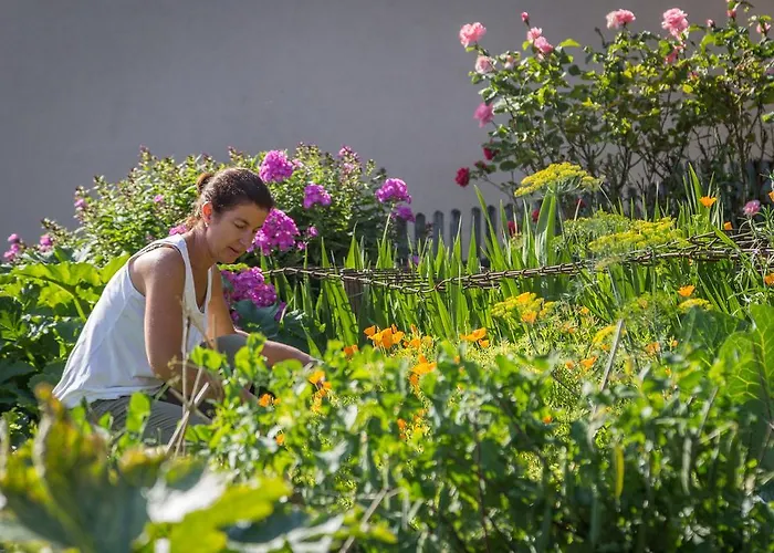 Hotel Mayer - Wirtshaus Und Dorfhotel Sankt Martin am Grimming